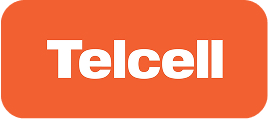 insurance company