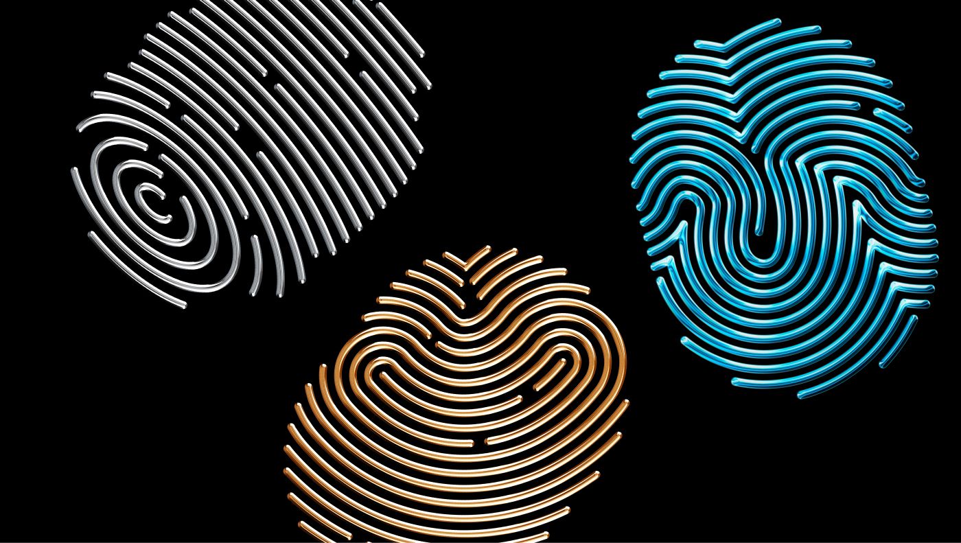 amio pacages active pro  Exclusive